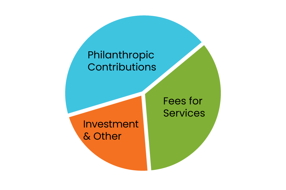 Financials Pie Chart-01
